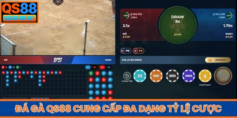Đá Gà QS88 cung cấp đa dạng tỷ lệ cược