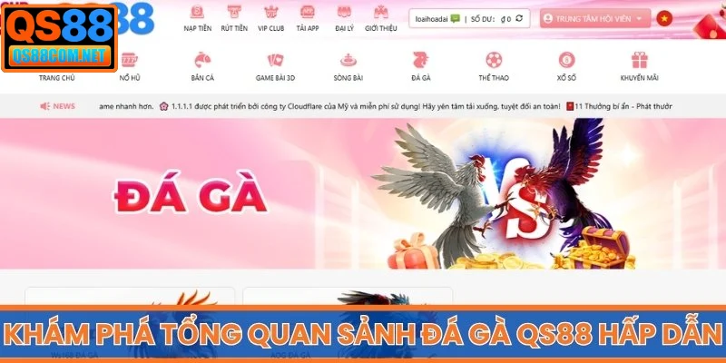 Khám phá tổng quan sảnh Đá Gà QS88 hấp dẫn